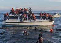 Syrian and Iraqi immigrants getting off a boat from Turkey on the Greek island of Lesbos.