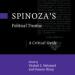 Spinoza’s ‘Political Treatise’:  A Critical Guide
